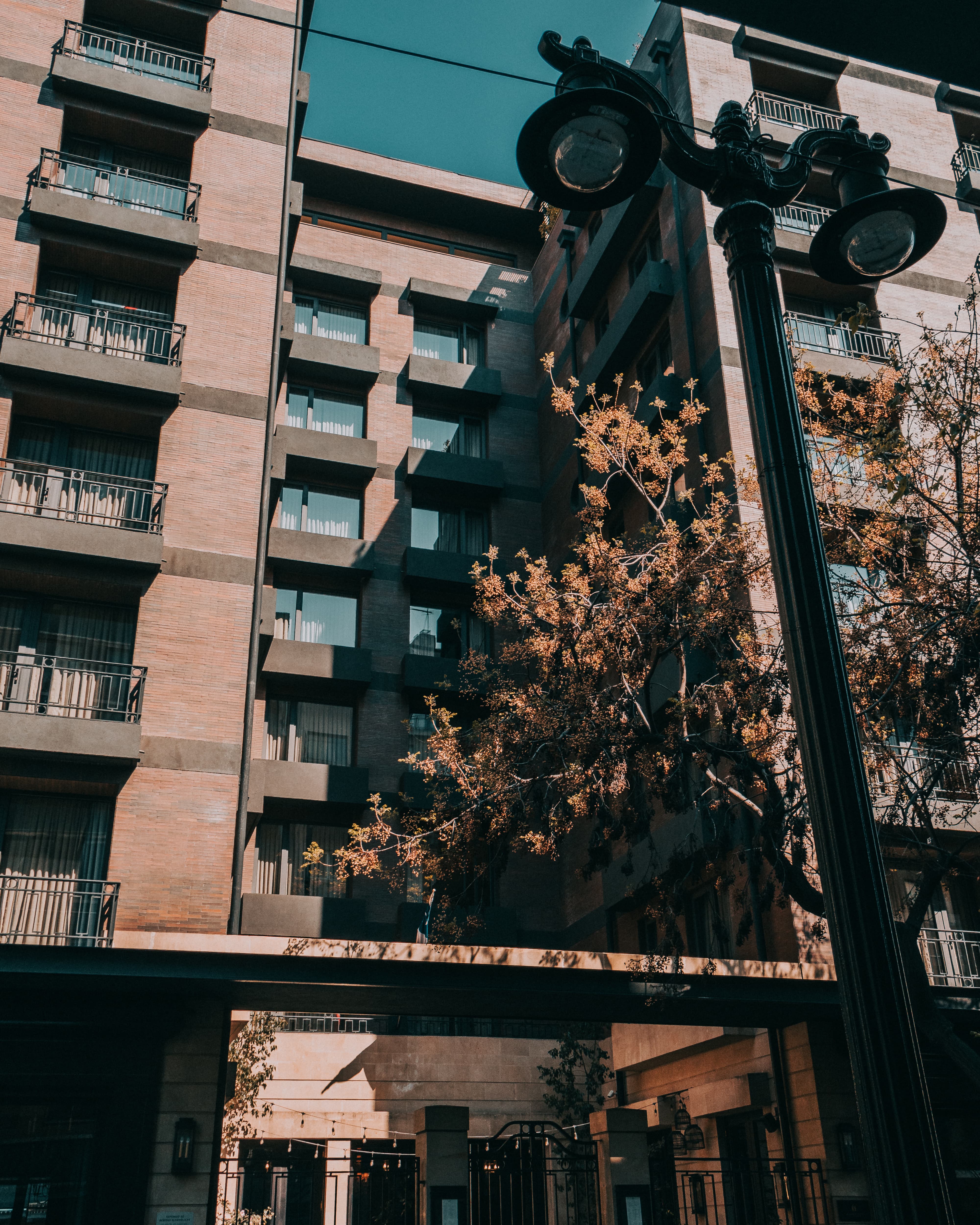 Foto de Bellavista