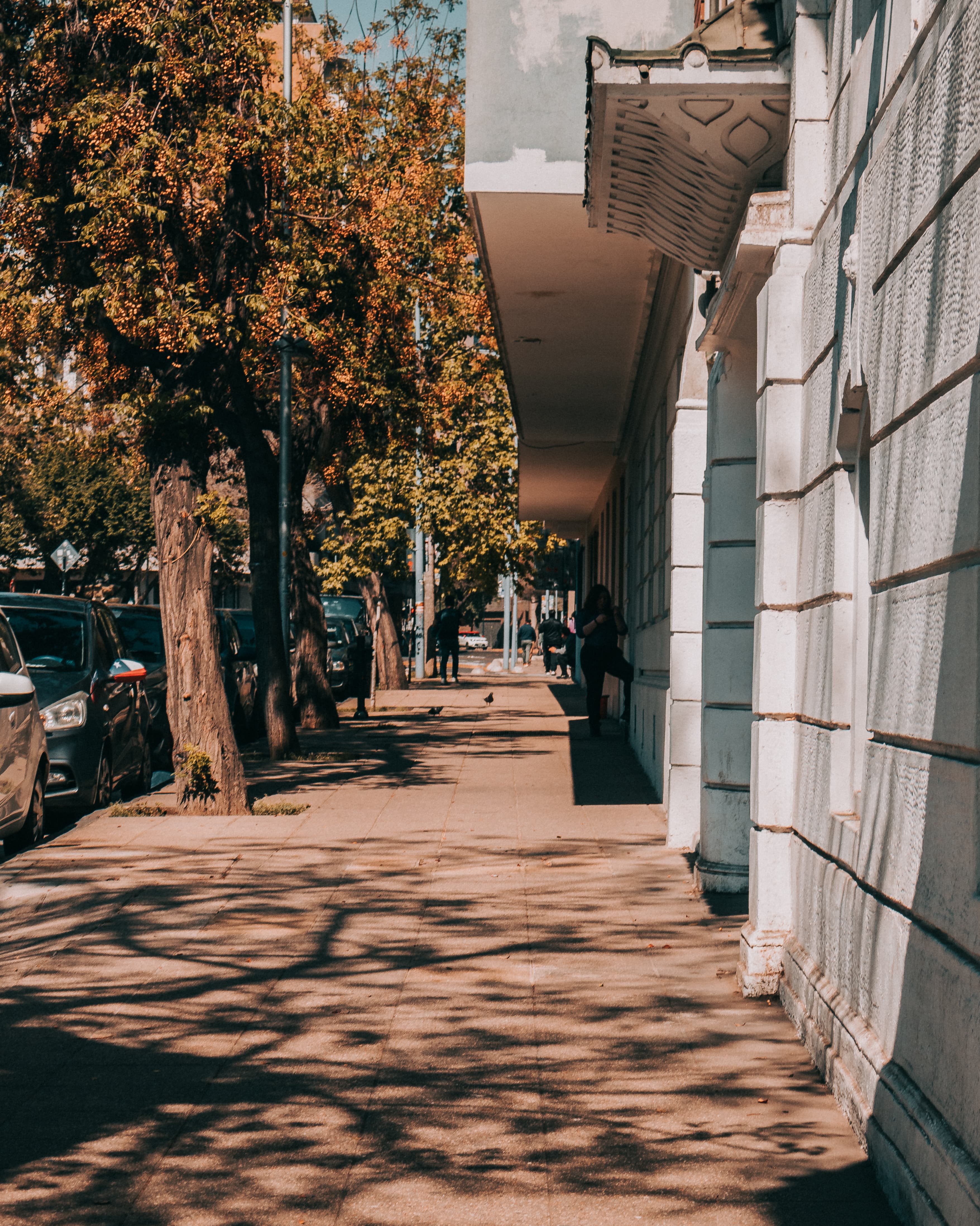 Foto de Bellavista
