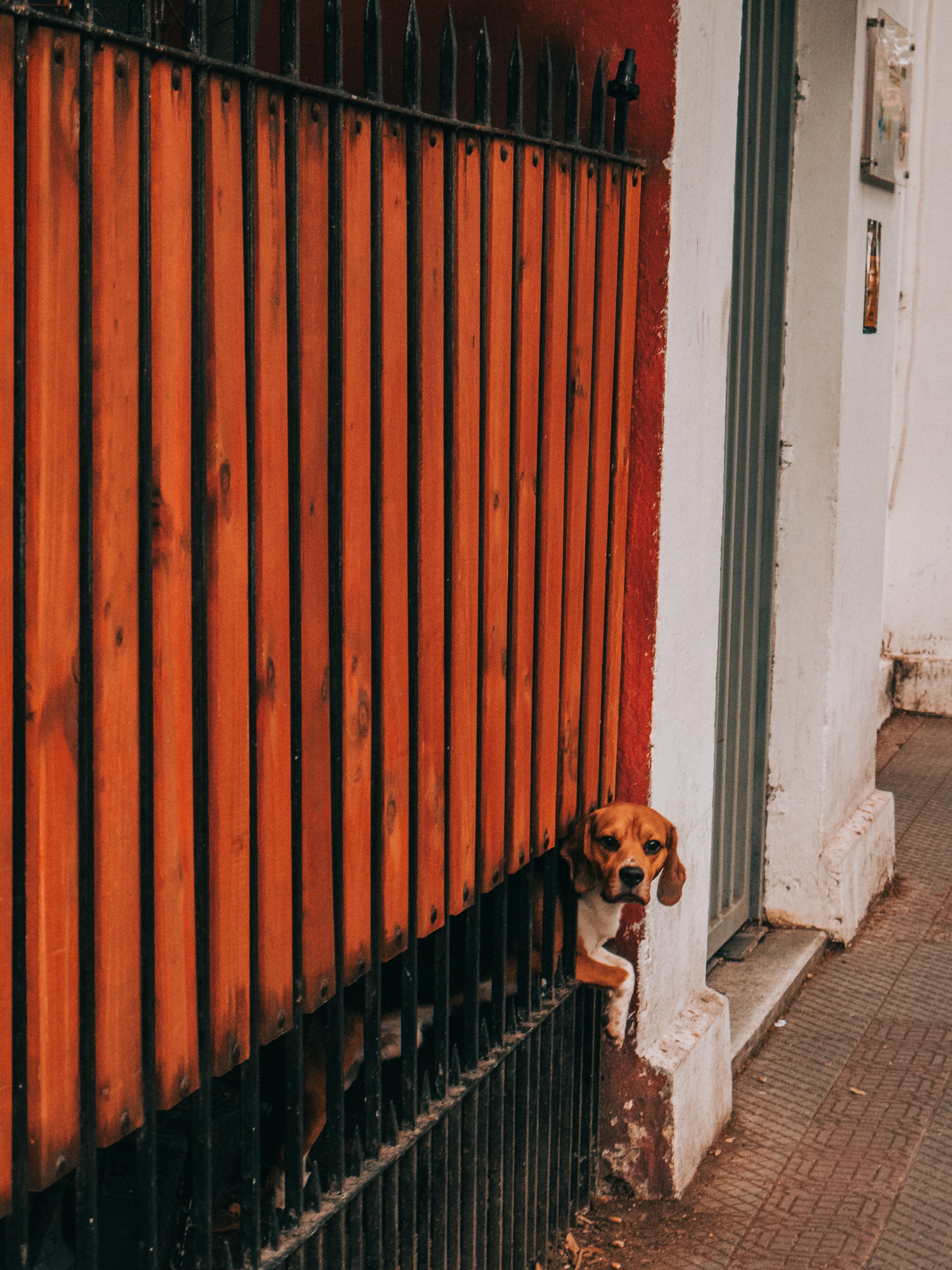 Foto de Crown
