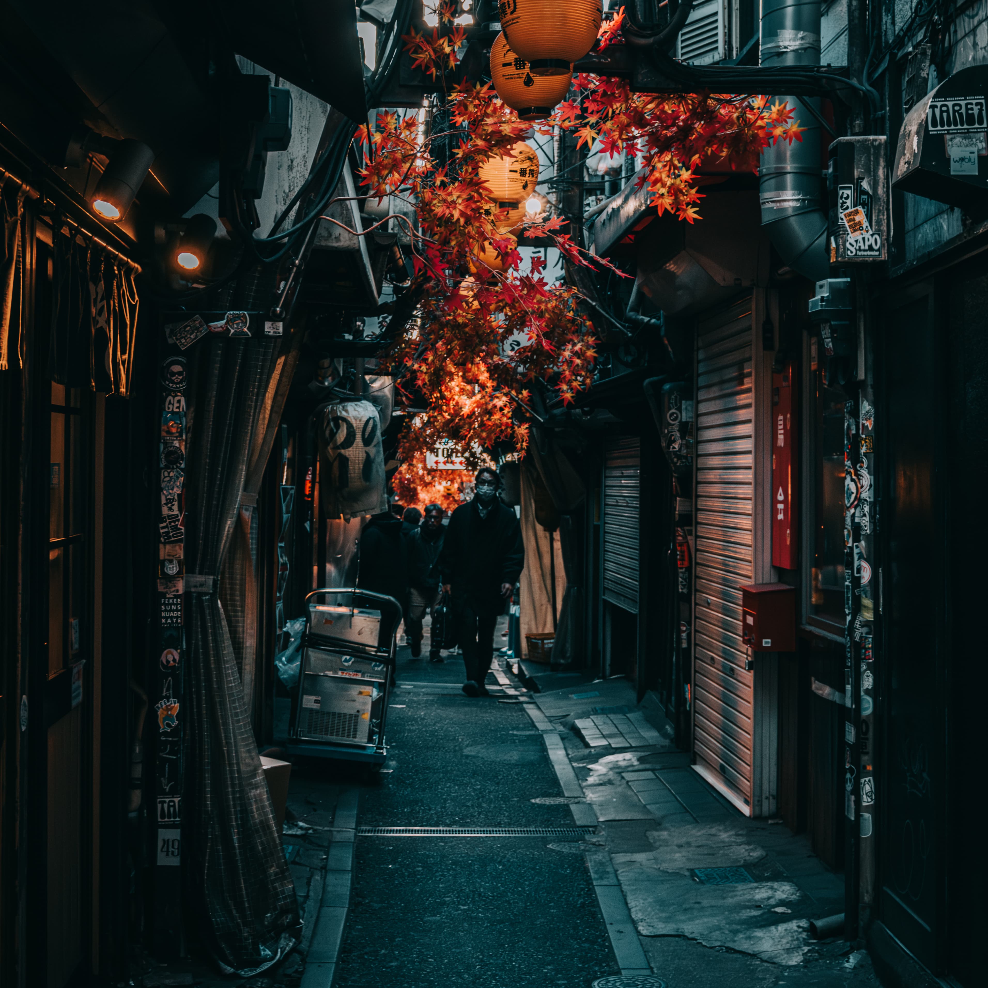 Foto de Japón