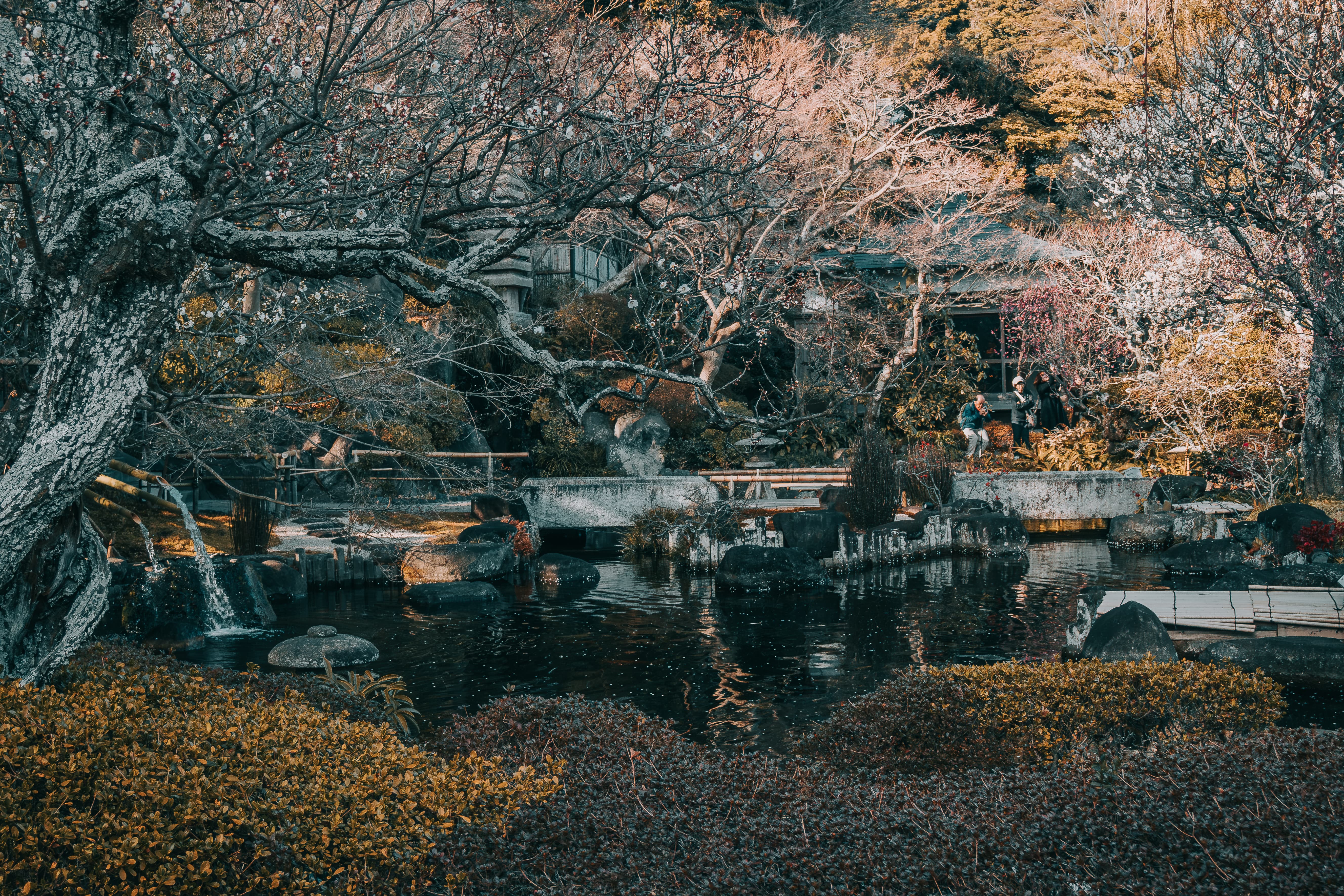 Foto de Japón