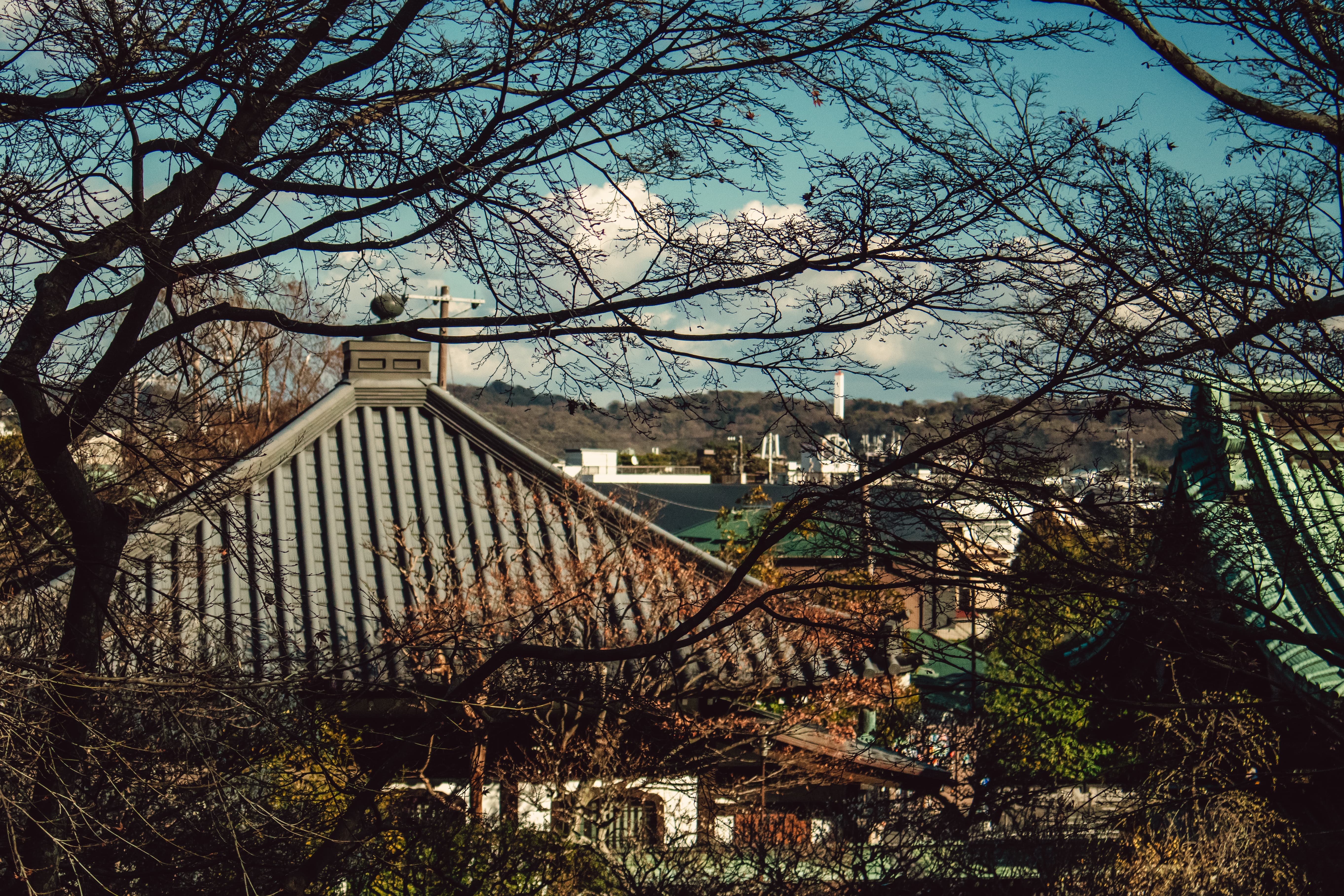 Foto de Japón