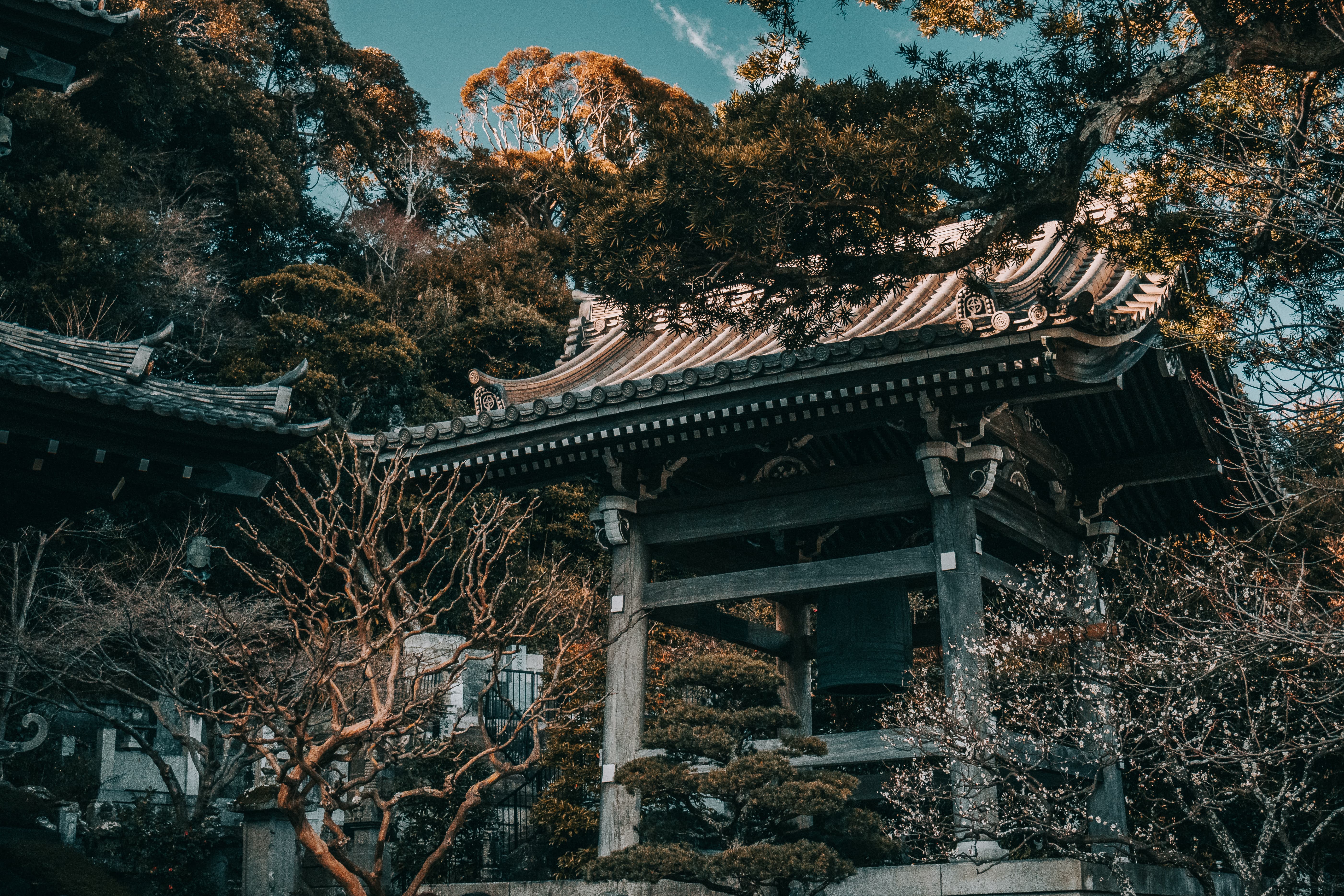 Foto de Japón