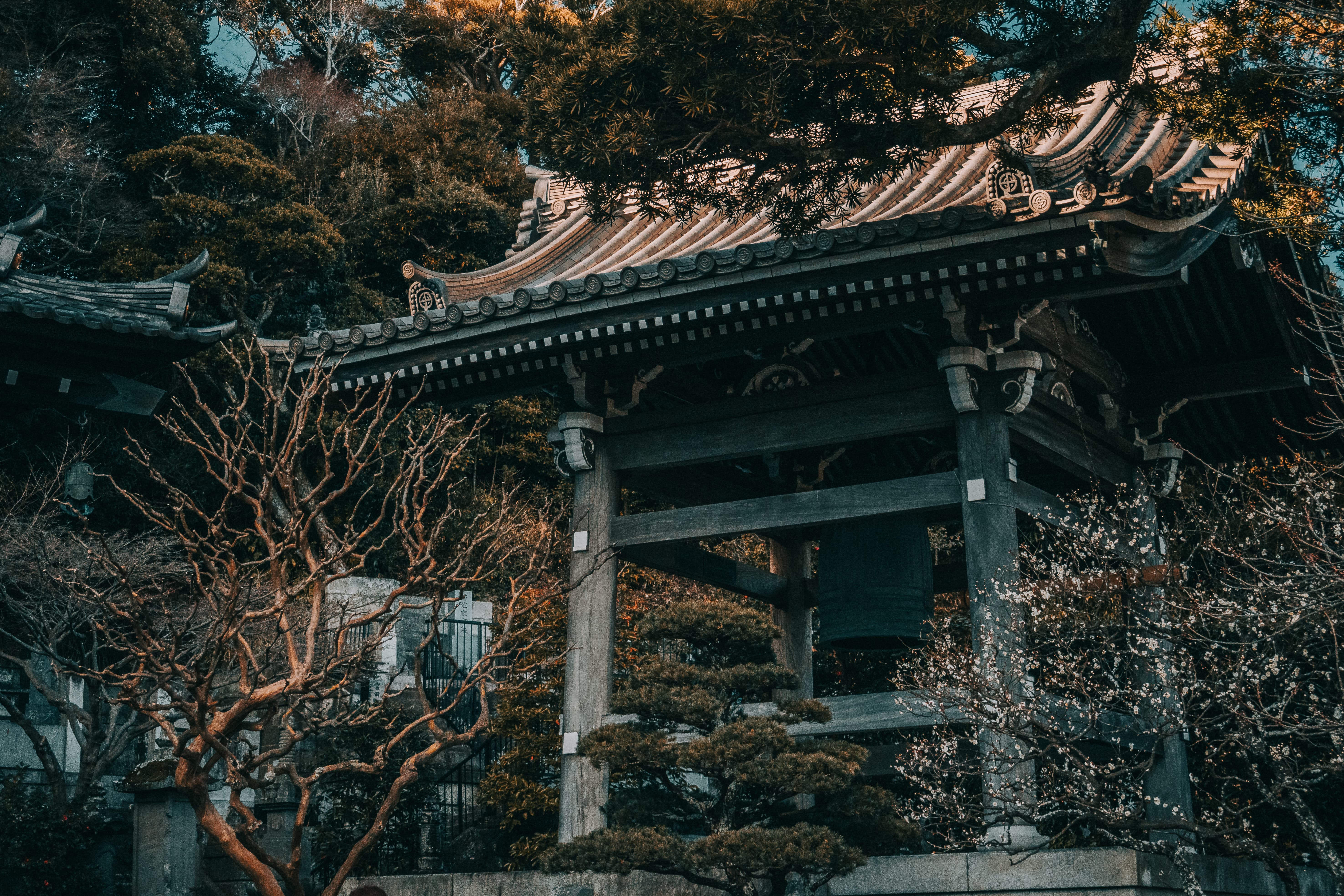 Foto de Japón