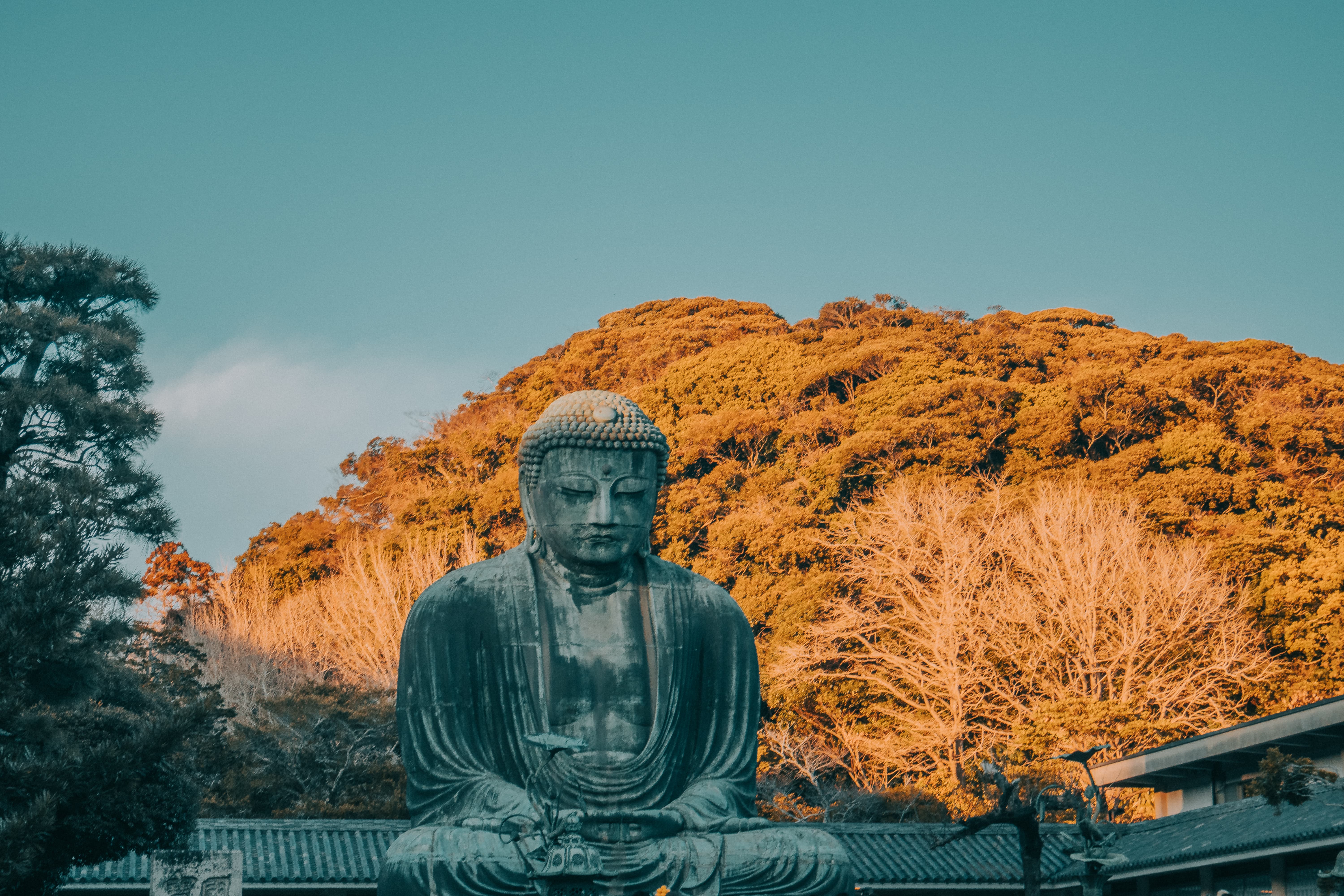 Foto de Japón