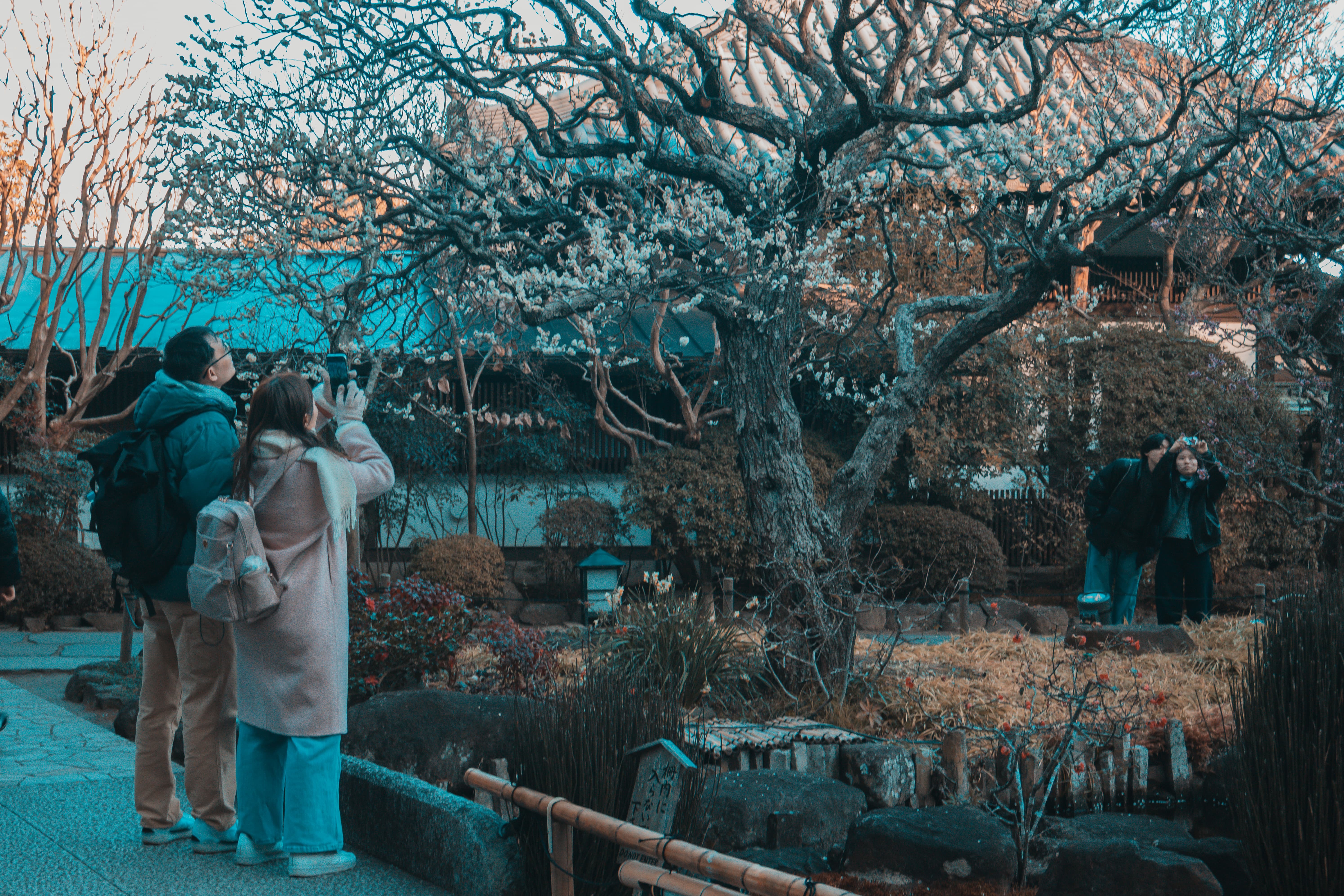 Foto de Japón