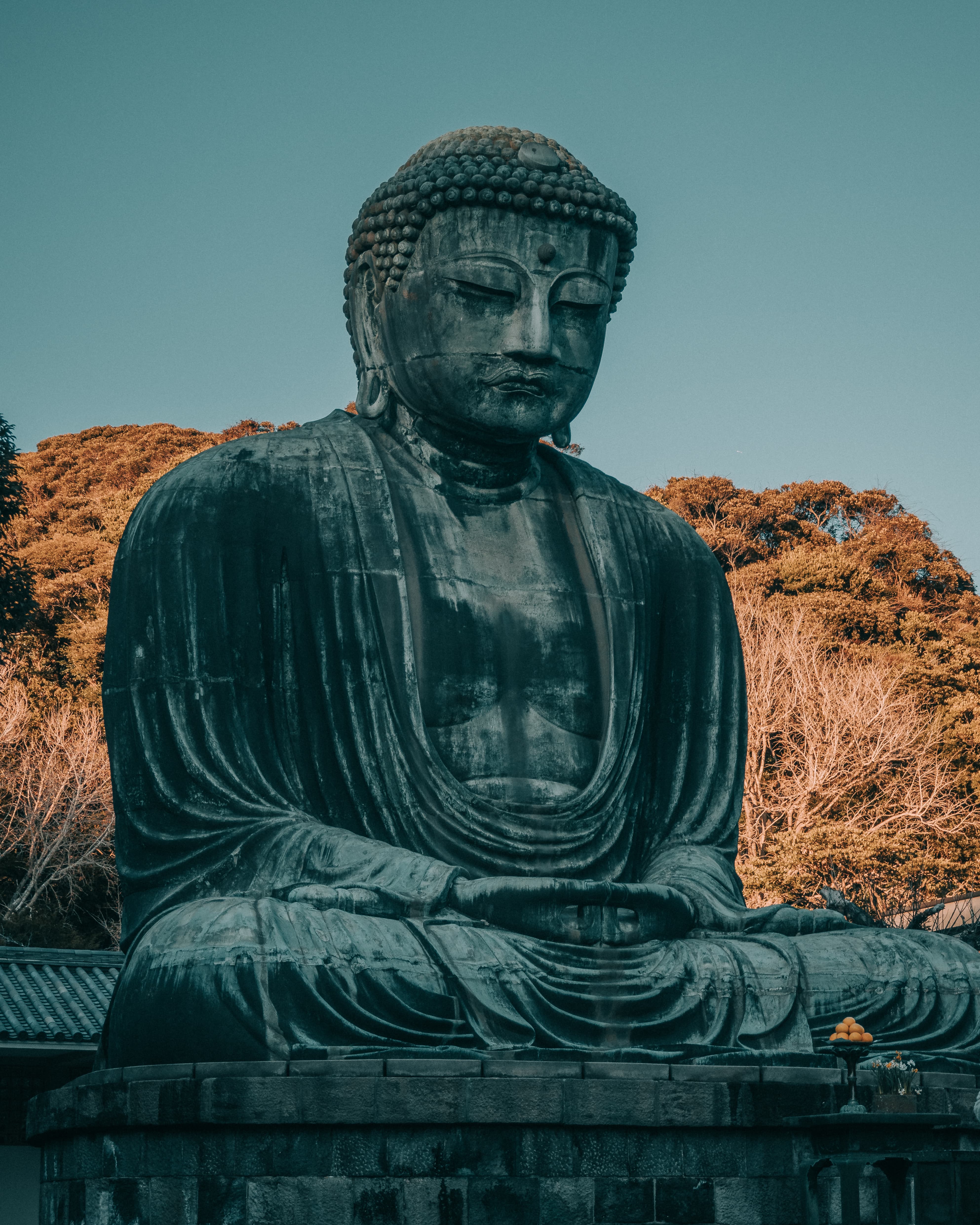 Foto de Japón