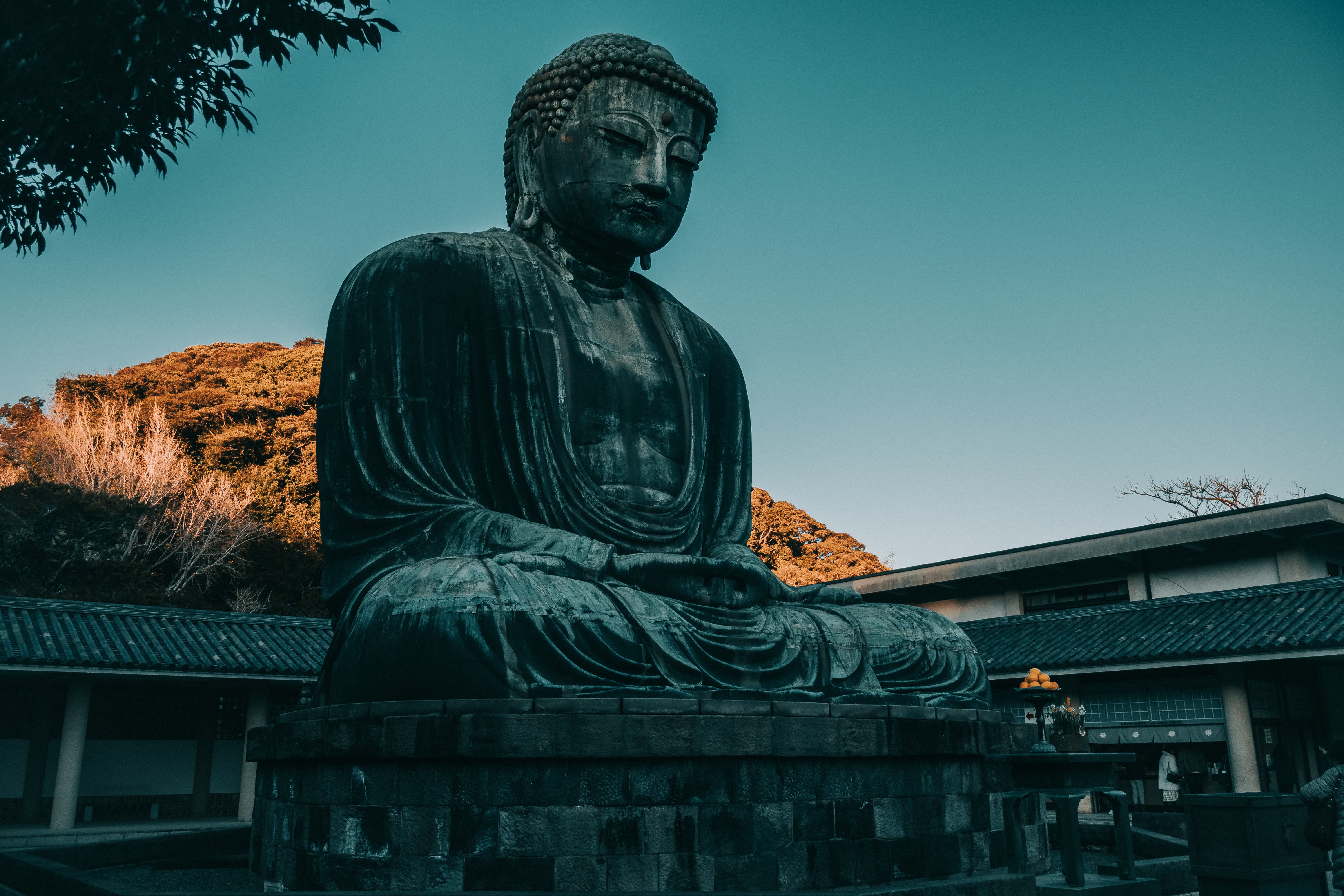 Foto de Japón