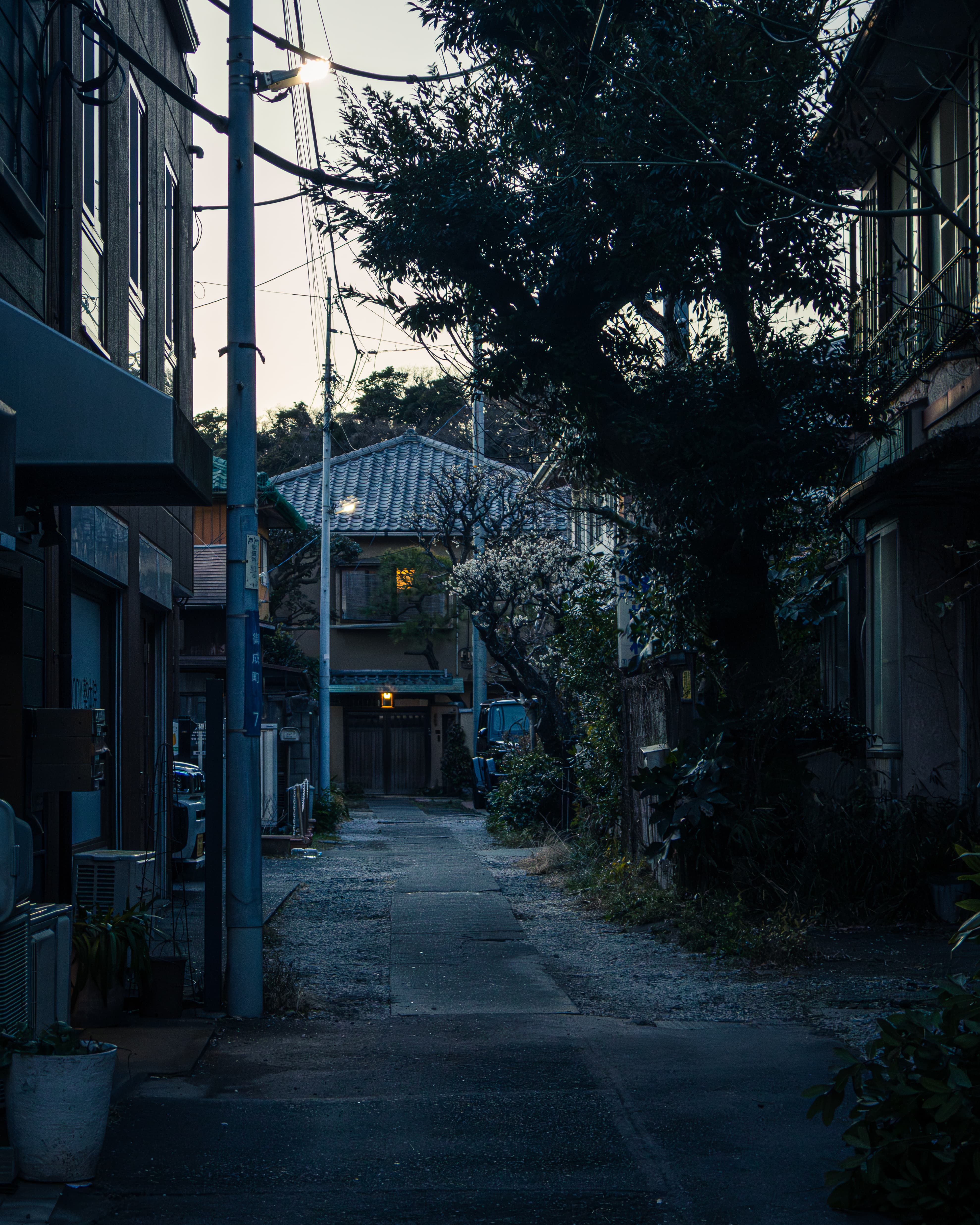Foto de Japón