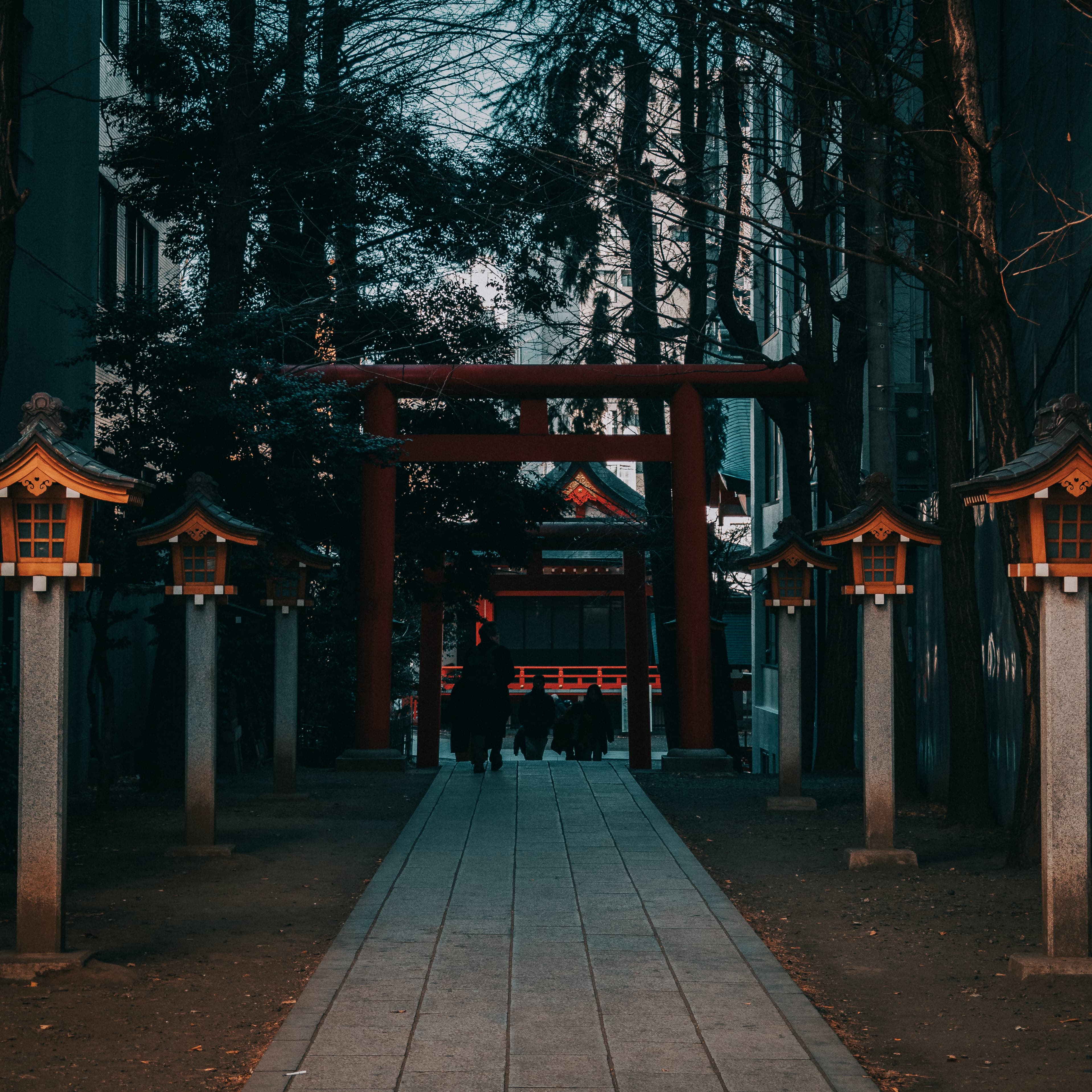 Foto de Shinjuku, Japón